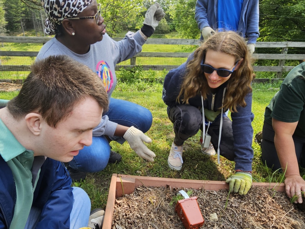 Adults with disabilities weed and plant vegetable beds at DIG Farm.