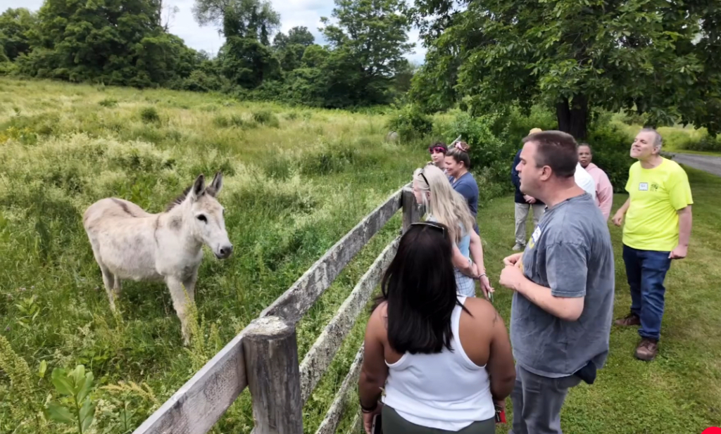 Individuals with Disabilities Observe a Donkey in a field in North Salem, New York through the Access Nature Project.