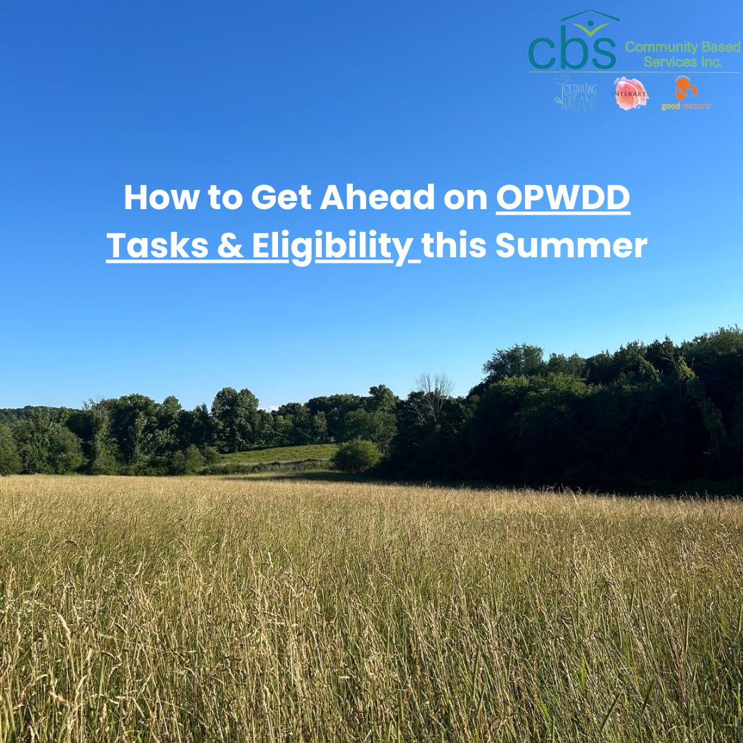 field with caption titled "how to get ahead on OPWDD Tasks & Eligibility this Summer"