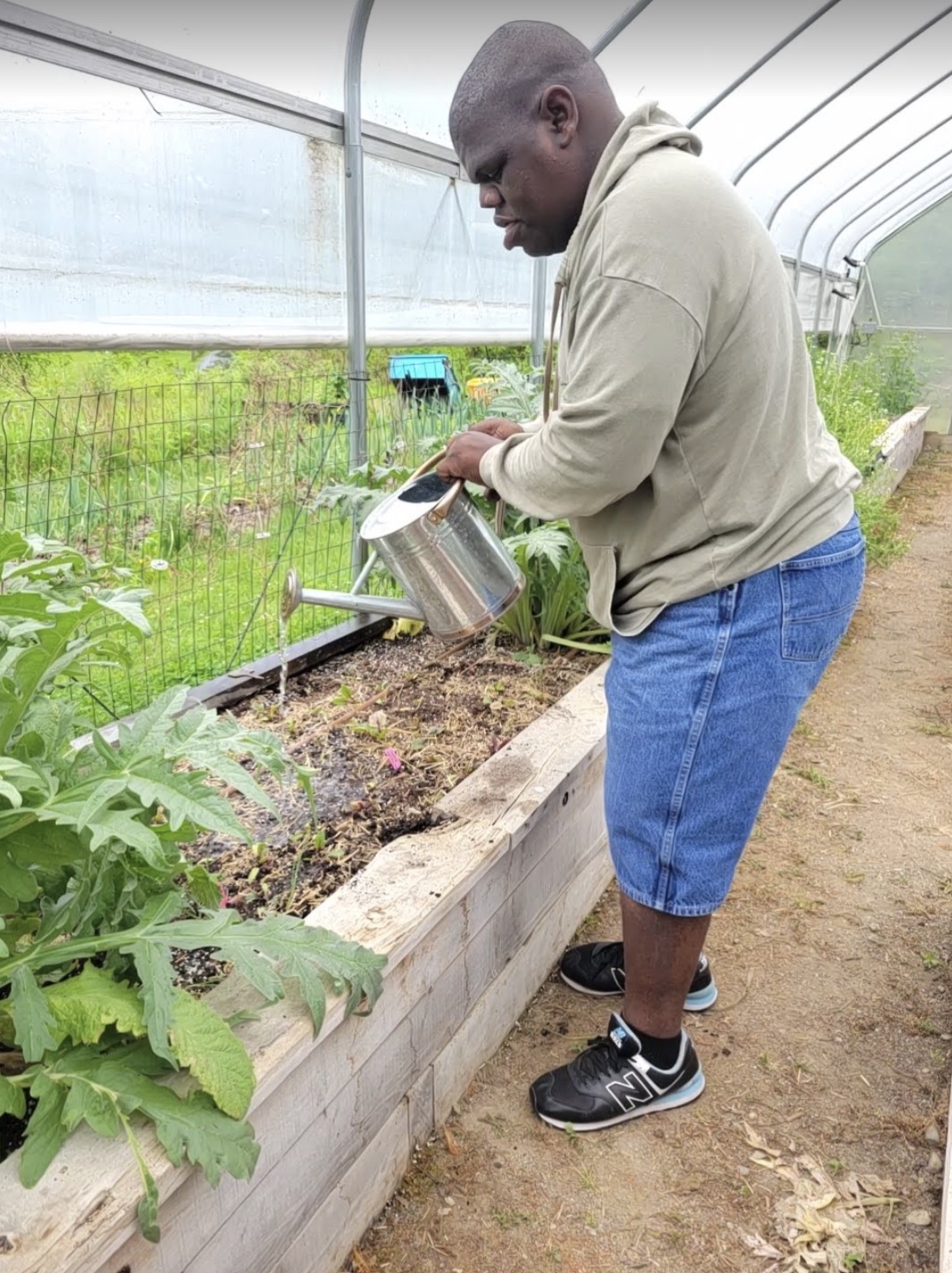 Person with disability waters plants and farms at Cultivating Dreams Farm, Community Based Service's farm that helps people with disabilities achieve their dreams.