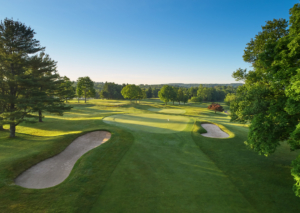 Golf course in the summer with lush green course and trees in full green leaves