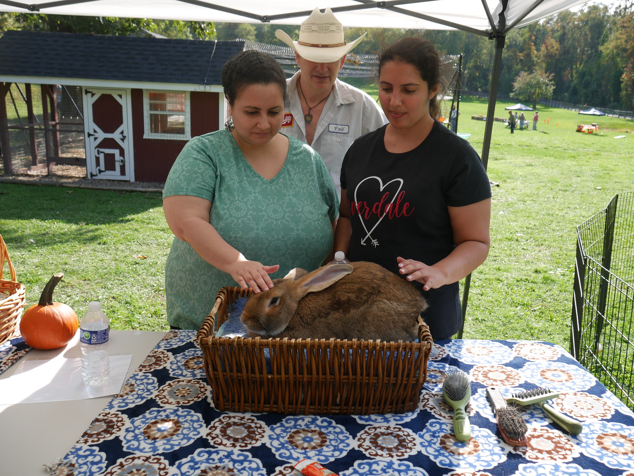 Two women supported by CBS pet a large rabbit, a therapy animal provided by Cowboy Dallas Fields who stands behind them.