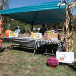 The welcome table at the entrance of Cultivating Dreams farm Fall Festival, decorated with a black and white checked cloth, potted mum flowers and corn stalks. A blue canopy shades the table. An assortment of games and raffle prizes sit on the table.