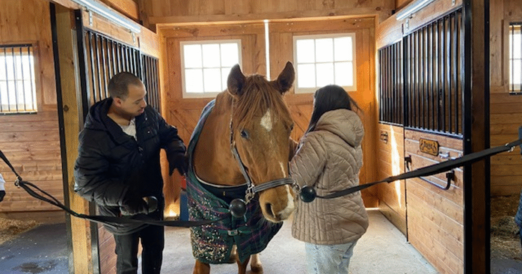 Workers tend to a stabled horse as they develop their job skills in the prevocational program at CBS.