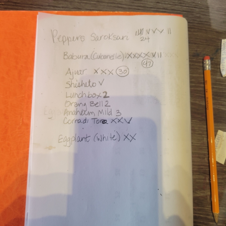 Farmer Olimpia's handwritten list of vegetables to plant in early spring