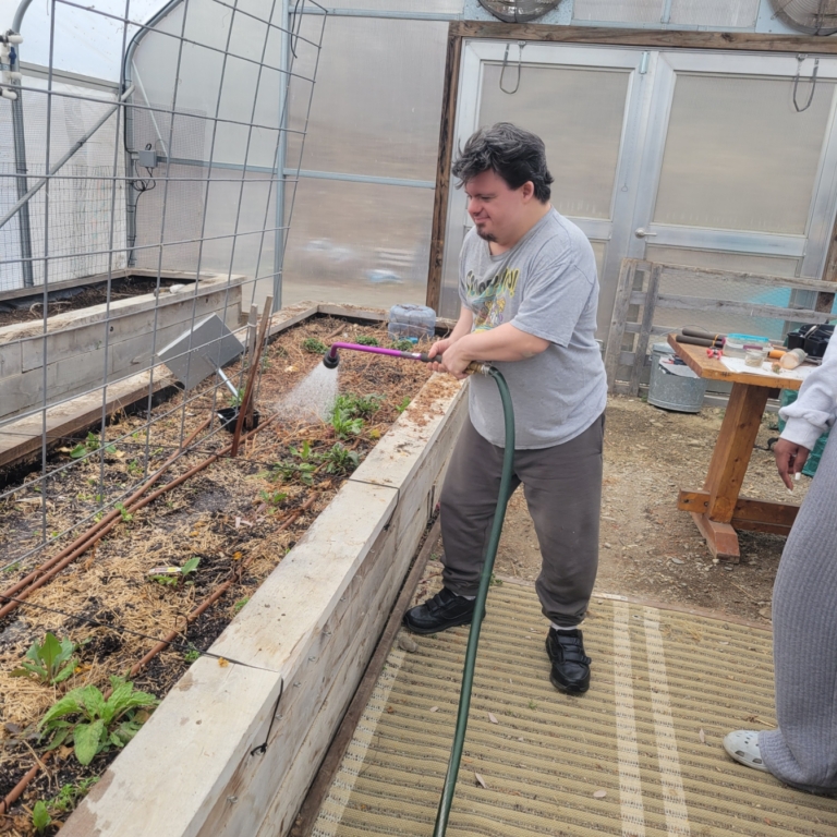 A person in the agricultural program at Cultivating Dreams Farm enjoys watering the young plants in the greenhouse.